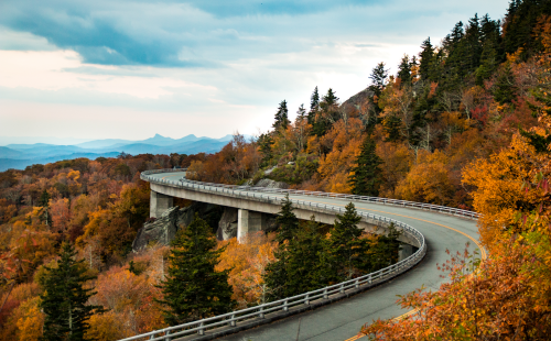 Fall Colors on Trees along the Georgia Mountain Parkway.